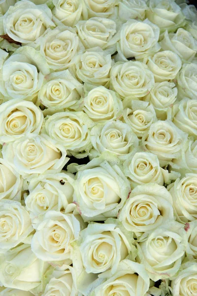 Grupo de rosas blancas, decoraciones de bodas — Foto de Stock