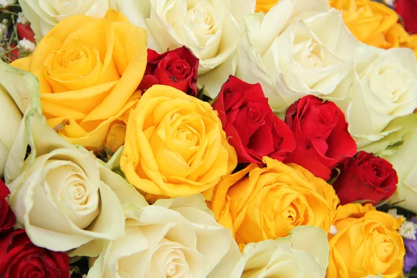 Gele en rode en witte rozen in een bruiloft arrangement — Stockfoto