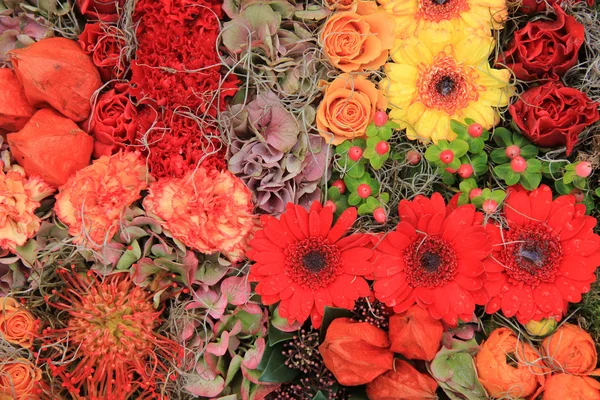 Arreglo de flores de otoño — Foto de Stock