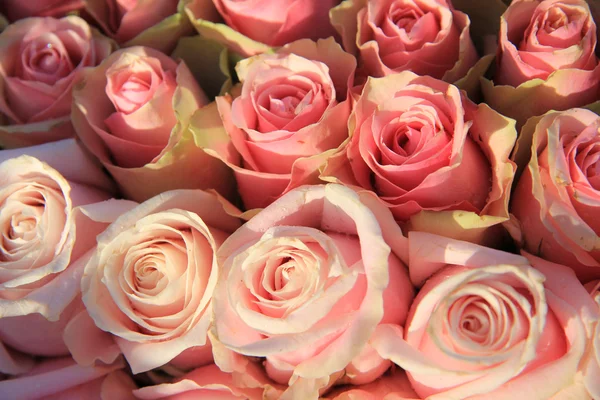 Rosas rosadas en un arreglo nupcial — Foto de Stock