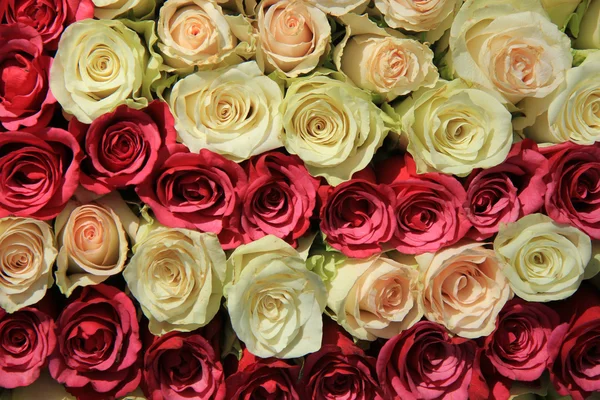 Pink roses in different shades in wedding arrangement — Stock Photo, Image