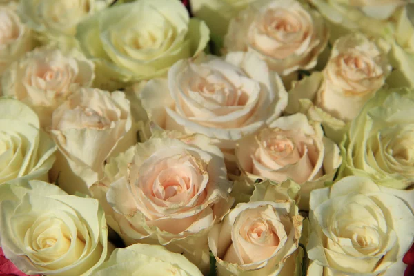 A különböző árnyalatú rózsaszín, menyasszonyi elrendezése rózsák — Stock Fotó