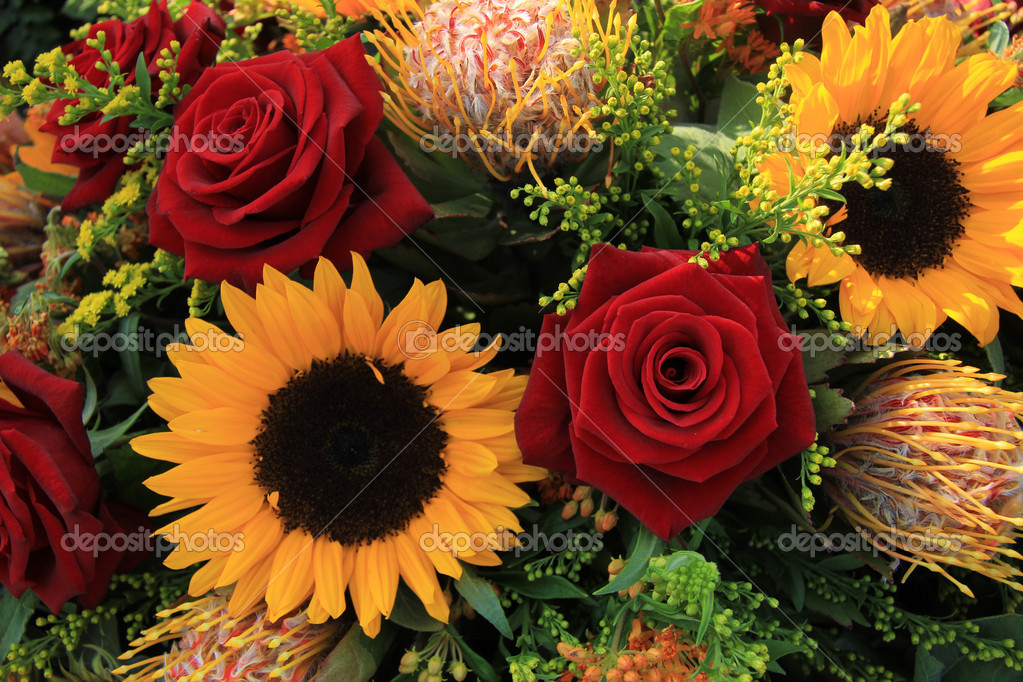 Sunflowers and roses ⬇ Stock Photo, Image by © portosabbia #44418155