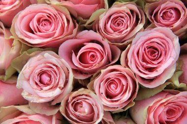 rosas cor de rosa em um arranjo de casamento