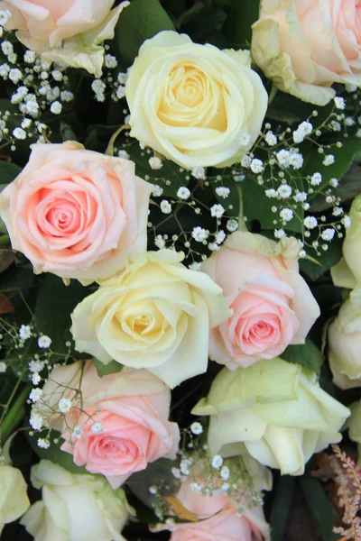 Rosas rosadas y blancas — Foto de Stock