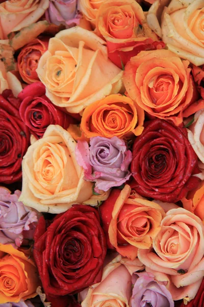 Rosas nupciales mixtas —  Fotos de Stock