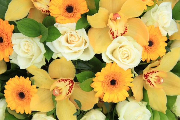 Cymbidium orchideeën, Gerbera's en rozen — Stockfoto