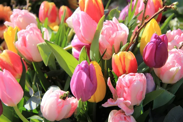 Tulip bouquet — Stock Photo, Image