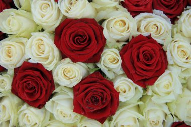Kırmızı ve beyaz gül düğün düzenleme