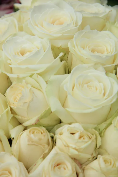 Rosas blancas en un arreglo de boda — Foto de Stock