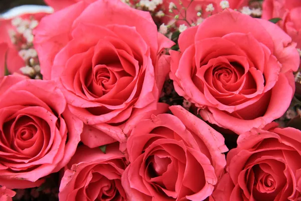 Rosas rosadas en un arreglo nupcial — Foto de Stock