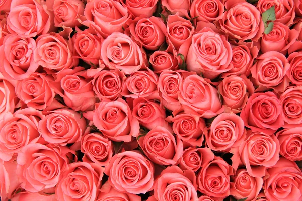 Rosas rosadas en un arreglo nupcial —  Fotos de Stock