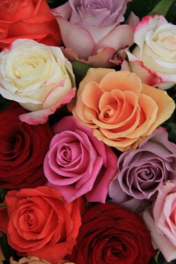 karışık gelin gül