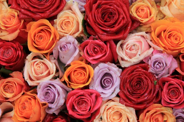 Mixed bridal roses — Stock Photo, Image