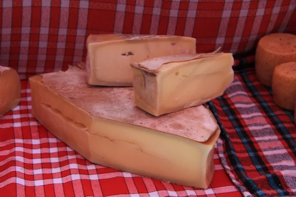 Сыр на французском рынке — стоковое фото