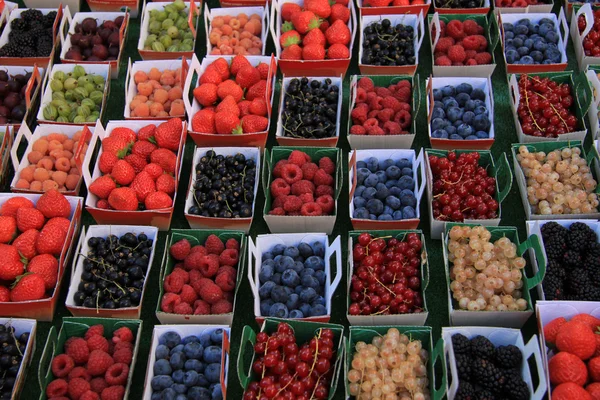 Berries in boxes — Stock Photo, Image