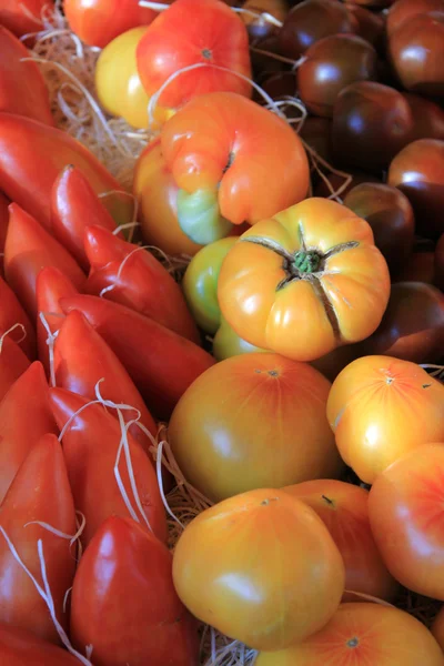 Tomatoes at a Provencal market — Stock Photo, Image