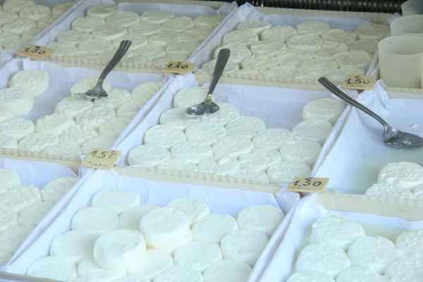Kozí sýr v provensálském trhu — Stock fotografie