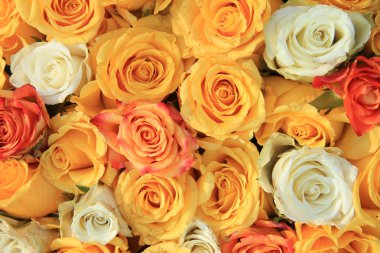 Sarı ve beyaz gül düğün düzenleme