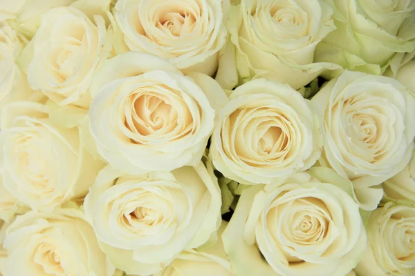 Weiße Rosen im Hochzeitsarrangement — Stockfoto