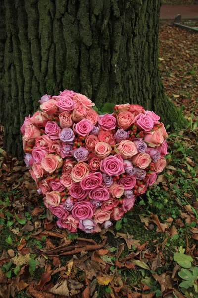 Hjärtformade sympati blommor — Stockfoto