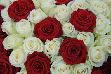 Kırmızı ve beyaz gül düğün düzenleme