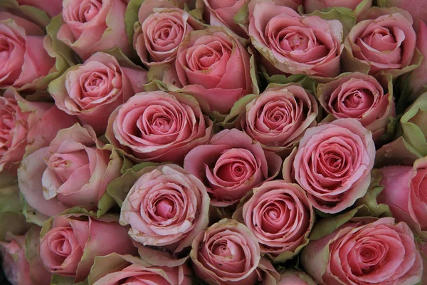 Roses roses dans un arrangement de mariage — Photo