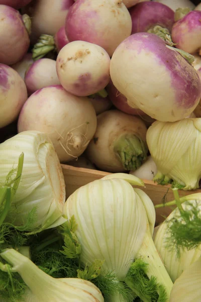 Turnip and fennel — Stock Photo, Image