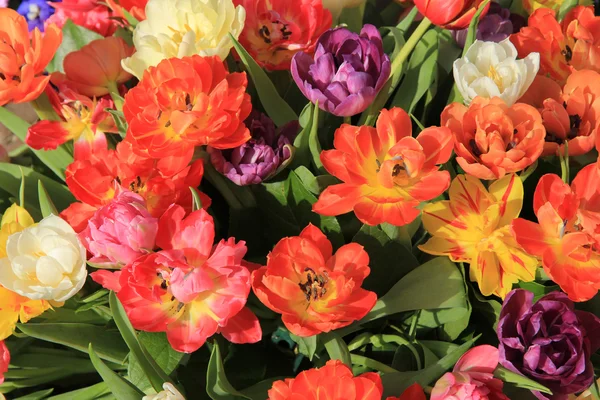 Tarka tulipán csokor — Stock Fotó