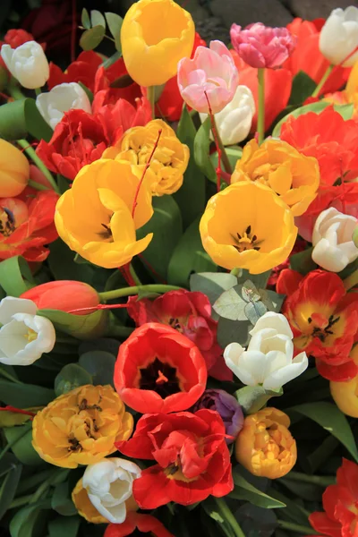 Buquê de tulipa — Fotografia de Stock