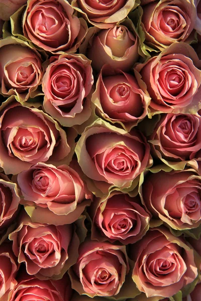 Rose rosa in un accordo nuziale — Foto Stock