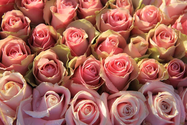 Ροζ τριαντάφυλλα σε ένα νυφικό ρύθμιση — Φωτογραφία Αρχείου