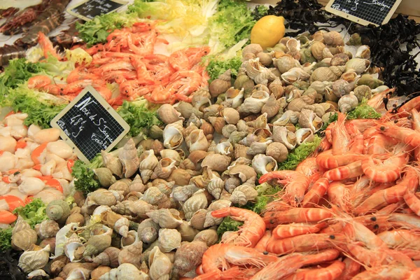 Fish at a market — Stock Photo, Image