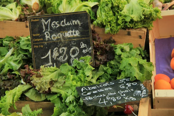 Lechuga — Foto de Stock