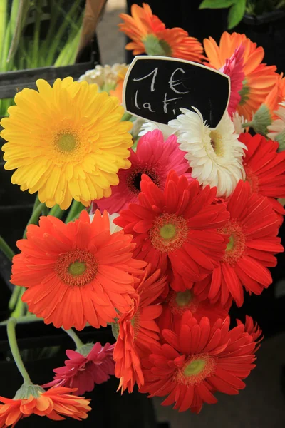 Çiçek pazarı, gerbera — Stok fotoğraf