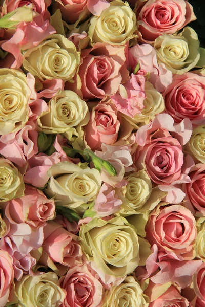 Белые и розовые розы в свадебном оформлении — стоковое фото