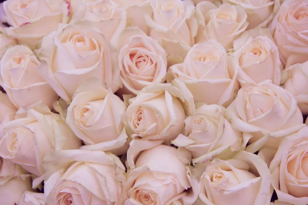 Blassrosa Hochzeitsblumen — Stockfoto