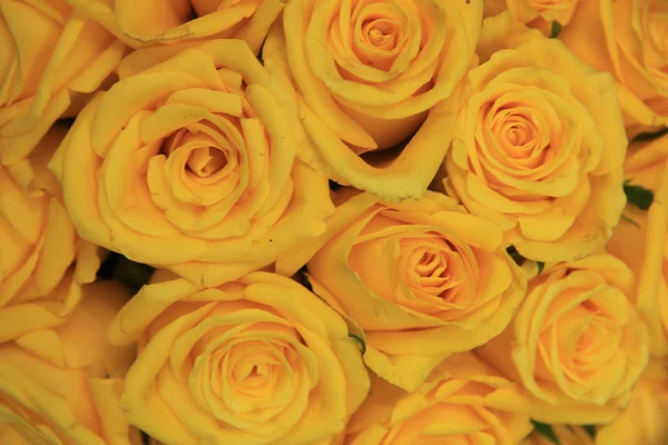 Yellow wedding roses — Stock Photo, Image