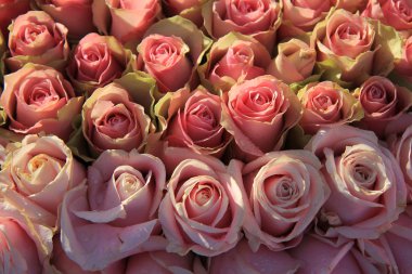 Gelin bir aranjman pembe güller