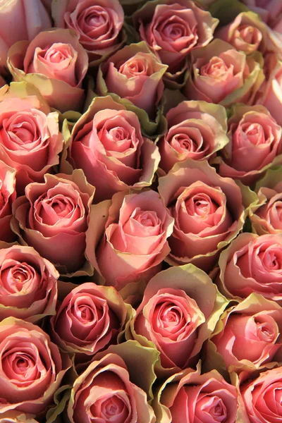 Розовые розы в свадебной обстановке — стоковое фото