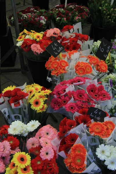 Gerberas en un mercado de flores — Foto de Stock