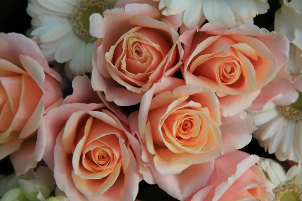गुलाबी शादी गुलाब — स्टॉक फ़ोटो, इमेज