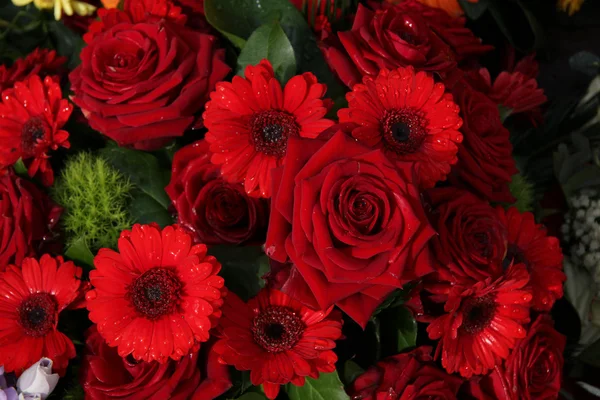 Κόκκινα τριαντάφυλλα και ζέρμπερες — Φωτογραφία Αρχείου