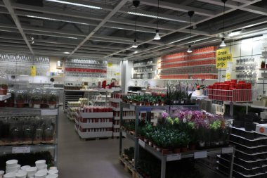 Haarlem, Hollanda - 9 Ekim 2021: Ikea mağaza galerisi. Bitkiler, saksılar ve ev dekorasyonu