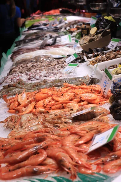 2019年9月30日 西班牙巴塞罗那 在La Boqueria Market选择乌贼 标签上的文字 西班牙鱿鱼 欧元价格 — 图库照片