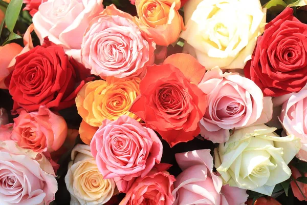 Flores Casamento Rosas Várias Cores Brilhantes — Fotografia de Stock