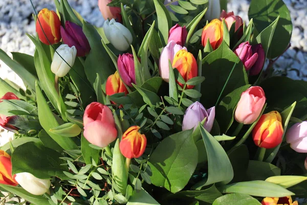 Ein Bunter Tulpenstrauß Der Frühlingsfarben Repräsentiert — Stockfoto