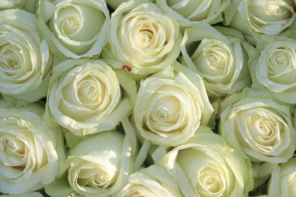 Big Group White Roses Part Wedding Decorations — Stock Photo, Image