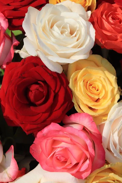 Misto Buquê Rosas Rosas Grandes Cores Brilhantes — Fotografia de Stock