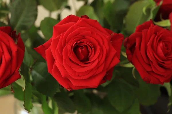 Red Rose Valentine Bouquet Glass Vase — Stock Photo, Image